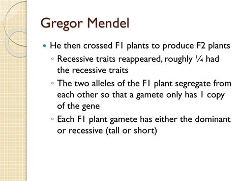 Image result for Blood Types Example for Codominance