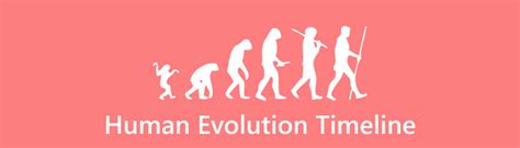 Image result for Human Evolution Tim Graph