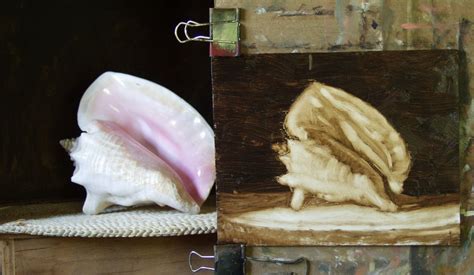 Bahamas Conch Shell Drawing に対する画像結果