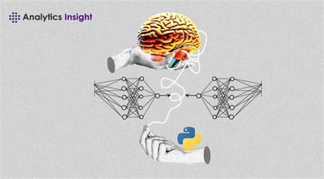 Image result for Ai Python Neural Networkd