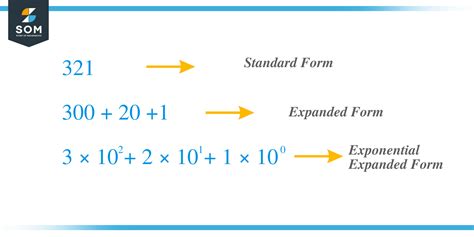 Image result for Exponential Form Algebra