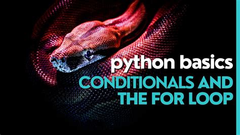 Image result for Python Lens with Conditionals