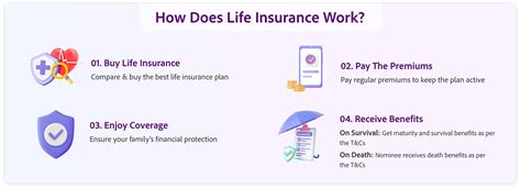 Image result for How Does Life Insurance Work