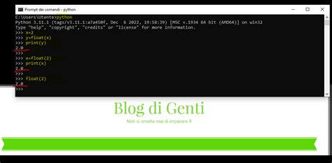 Image result for How to Enable Float in Python