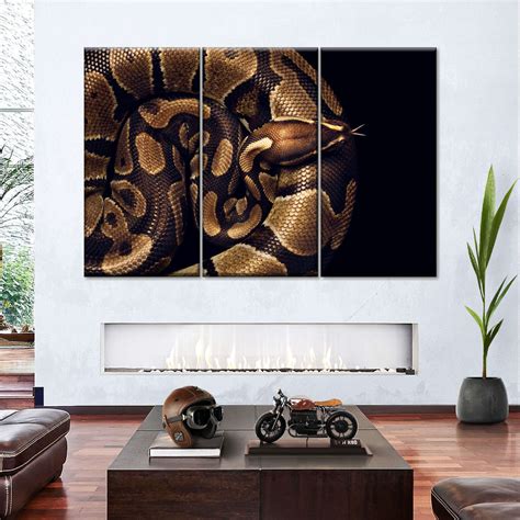 Image result for Wall Ball Python