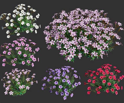 Free SpeedTree Models に対する画像結果