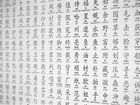 Image result for Chinese in Use