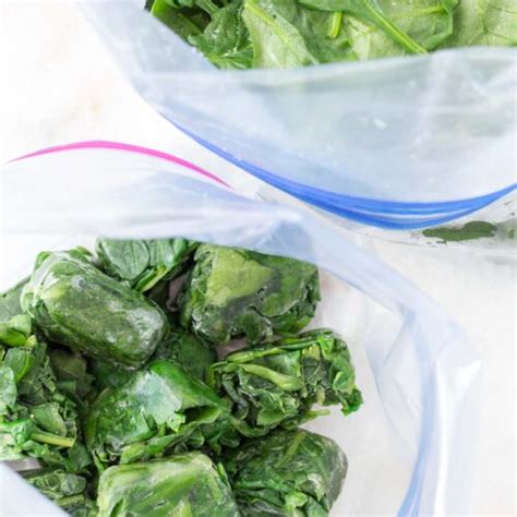 Image result for How to Freeze Spinach Leaves