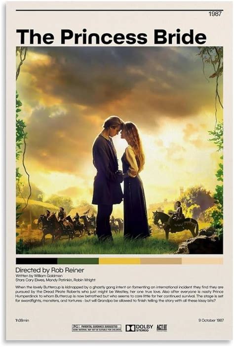 Image result for Princess Bride Retro Film Poster