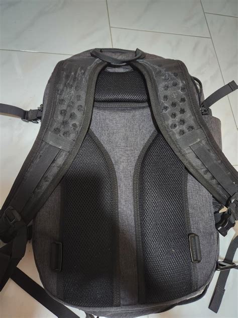 Image result for Tortuga Set Out Divid