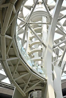 Tree of Life Structure എന്നതിനുള്ള ഇമേജ് ഫലം