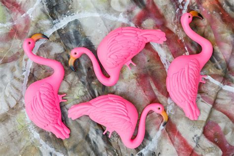 Toradh íomhá ar Zombie Flamingo