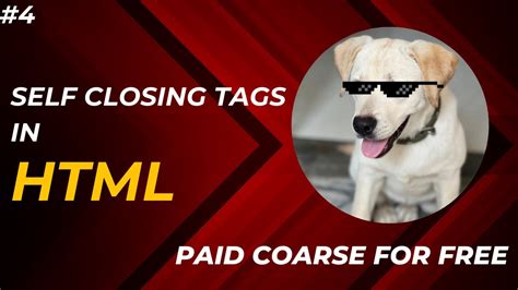 Image result for Self Closing Tags in HTML