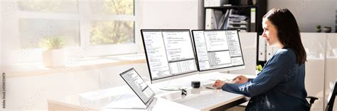 Toradh íomhá ar Woman Doing Computer Programming