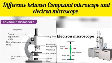 Image result for Compound Microscope Types