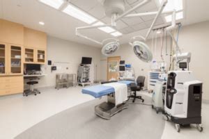 Image result for Lab Rats Bionic Chip