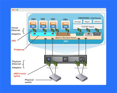 Toradh íomhá ar virtual basic network device