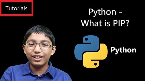PIP Stand for Python に対する画像結果