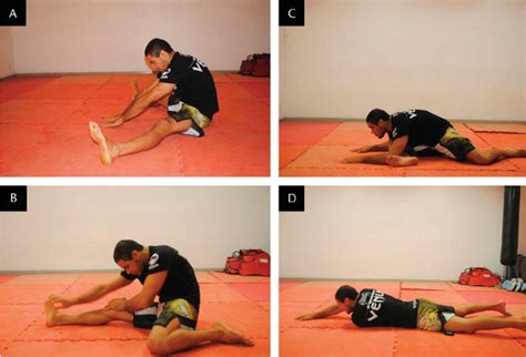 Static Stretcheing Examples に対する画像結果