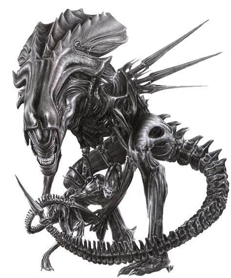 Afbeeldingsresultaten voor Xenomorph Monster