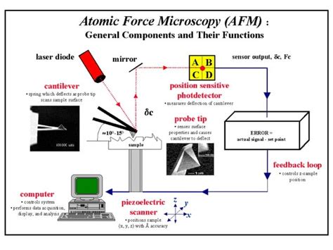Image result for Atomic Force Microscope Operation Mode