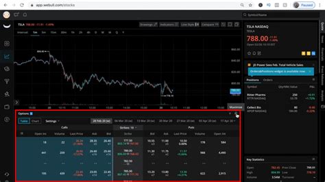 Image result for Trading Options On Webull Desktop