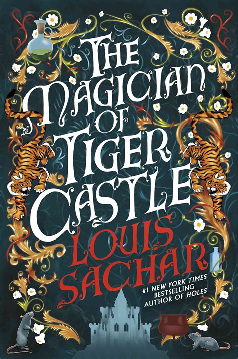 Toradh íomhá ar Python Textbook with a Castle On the Cover