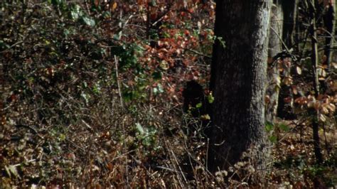 Afbeeldingsresultaten voor Object Humans