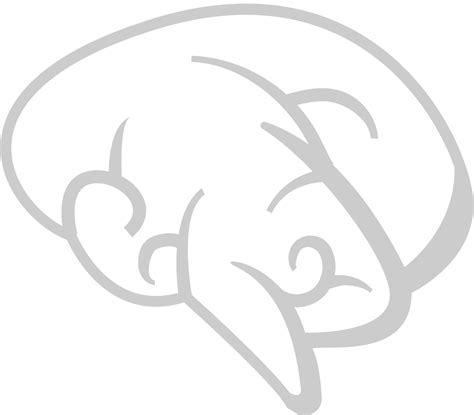 Brain Vector Drawing PNG に対する画像結果