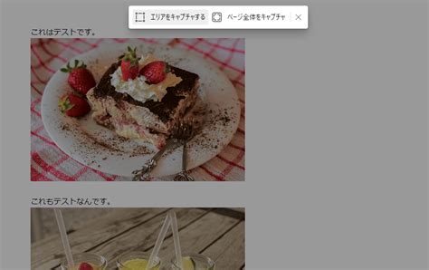 Edge Browser Screen Shot に対する画像結果