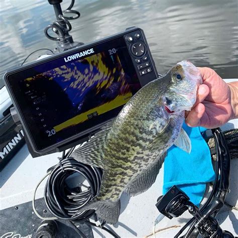 Image result for Lowrance Live View