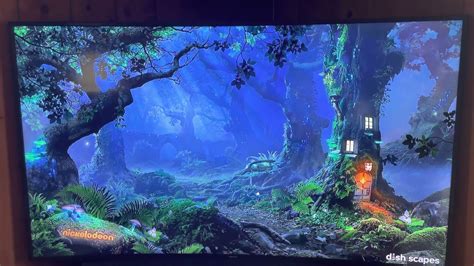 Image result for DishTV Scapes