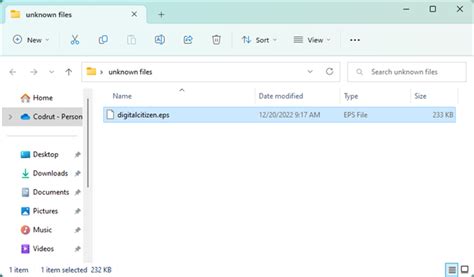 OpenEdge Explorer Open 1 Unseen 1.File に対する画像結果