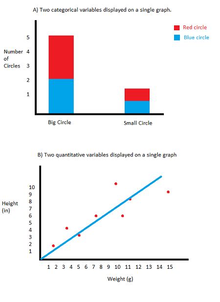 Qualitative vs. Quantitative Research | Overview & Differences - Lesson ...