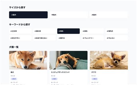 Software Version に対する画像結果
