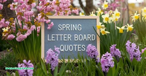 Image result for Spring Hello Quotes