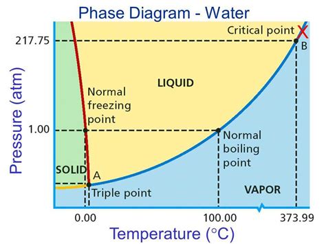 Three-Phase Diagram Water に対する画像結果