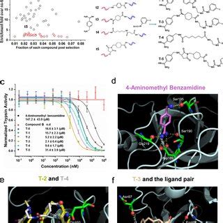 Afbeeldingsresultaten voor Affinity Maturation Method