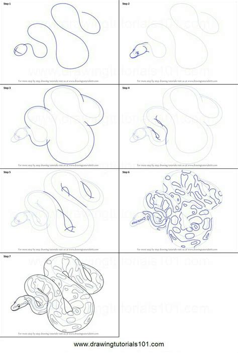 Image result for How to Draw a Ball Python