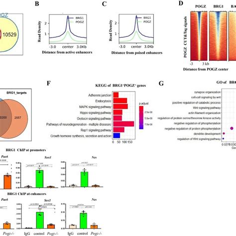 Toradh íomhá ar ChIP-seq Enhancer