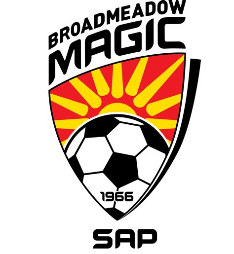 Magic Mouse Code に対する画像結果