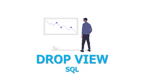Image result for Drop View SQL