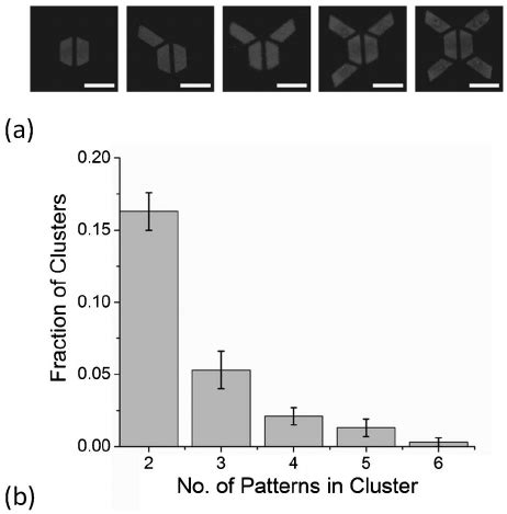 Afbeeldingsresultaten voor Random Seeding Pattern
