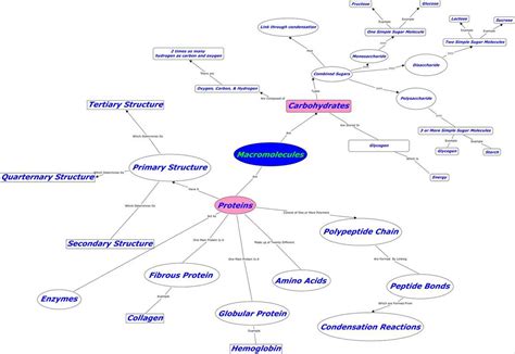 Ecosystem Concept Map Answer Key に対する画像結果
