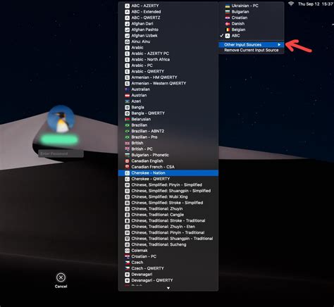 Toradh íomhá ar Local Input Source Panel