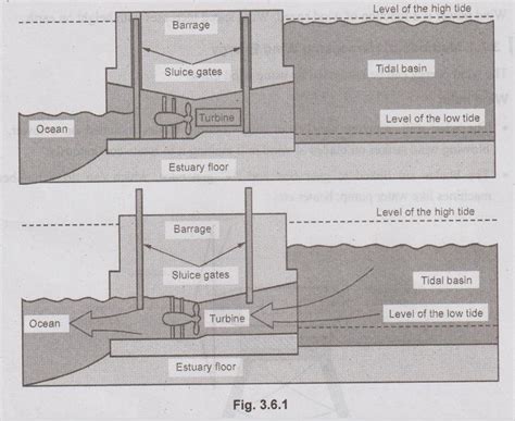 Image result for Tidal Energy Diagram
