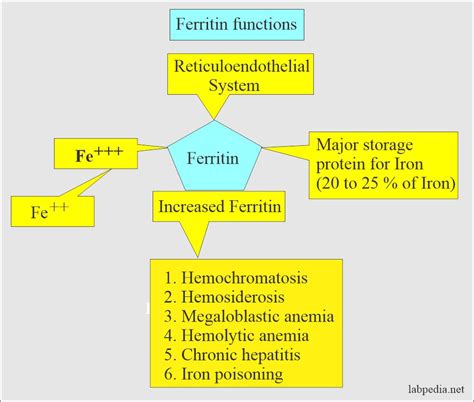 Image result for Ferritin High