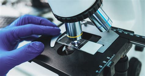 Image result for Different Lens On a Microscope Labeled