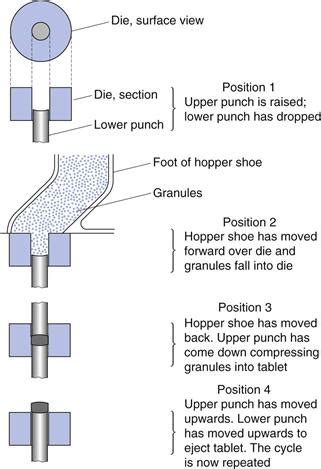 Image result for Tablet Compression Process Diagram