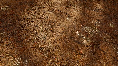 Image result for Forest Map Texture